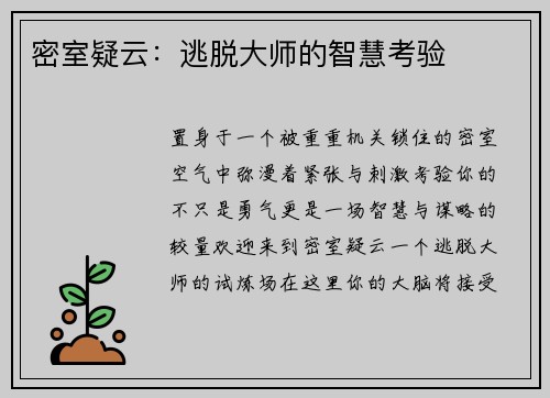 密室疑云：逃脱大师的智慧考验